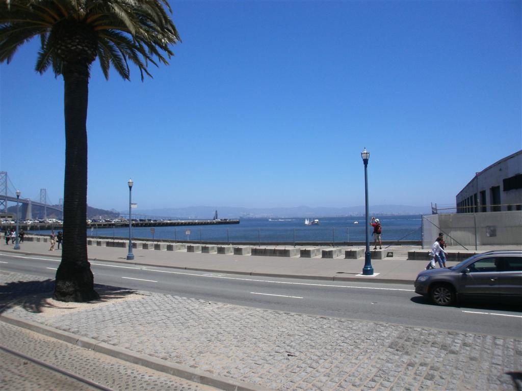 P62300031