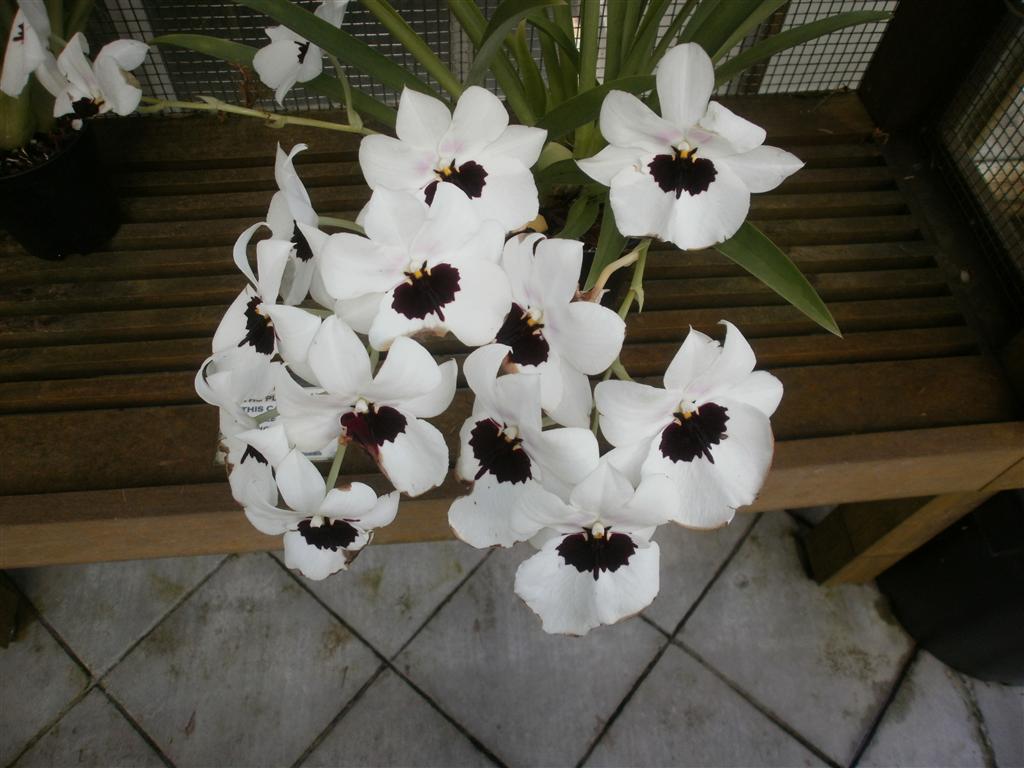 P6240020