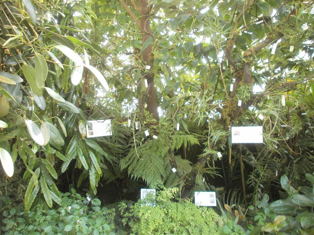 P6240021