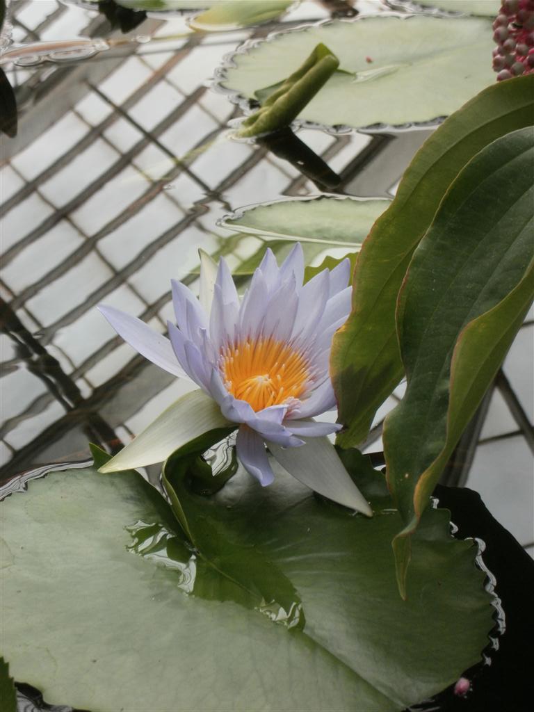 P6240024