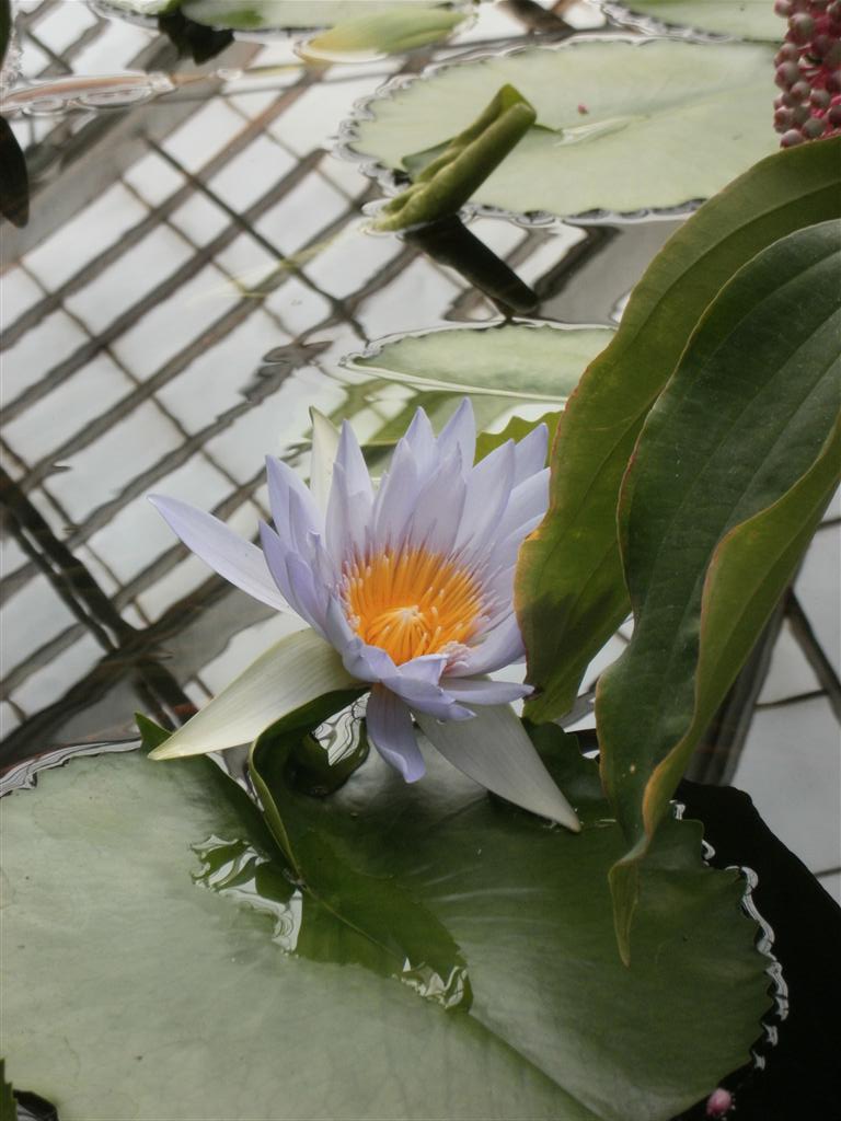P6240025
