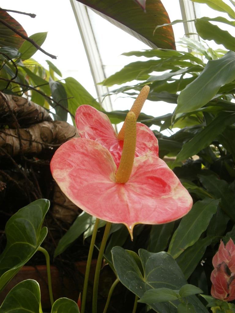 P6240029