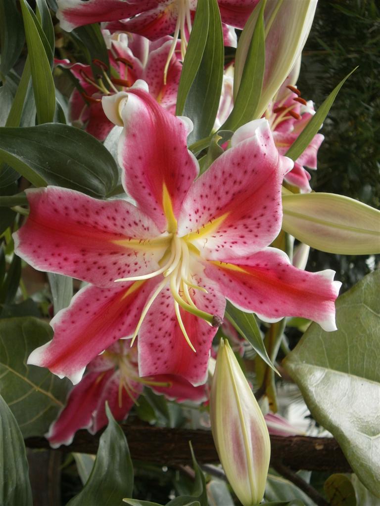 P6240034