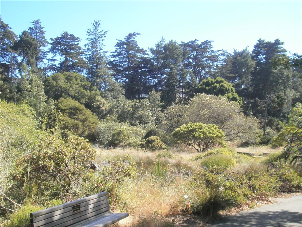 P6240041