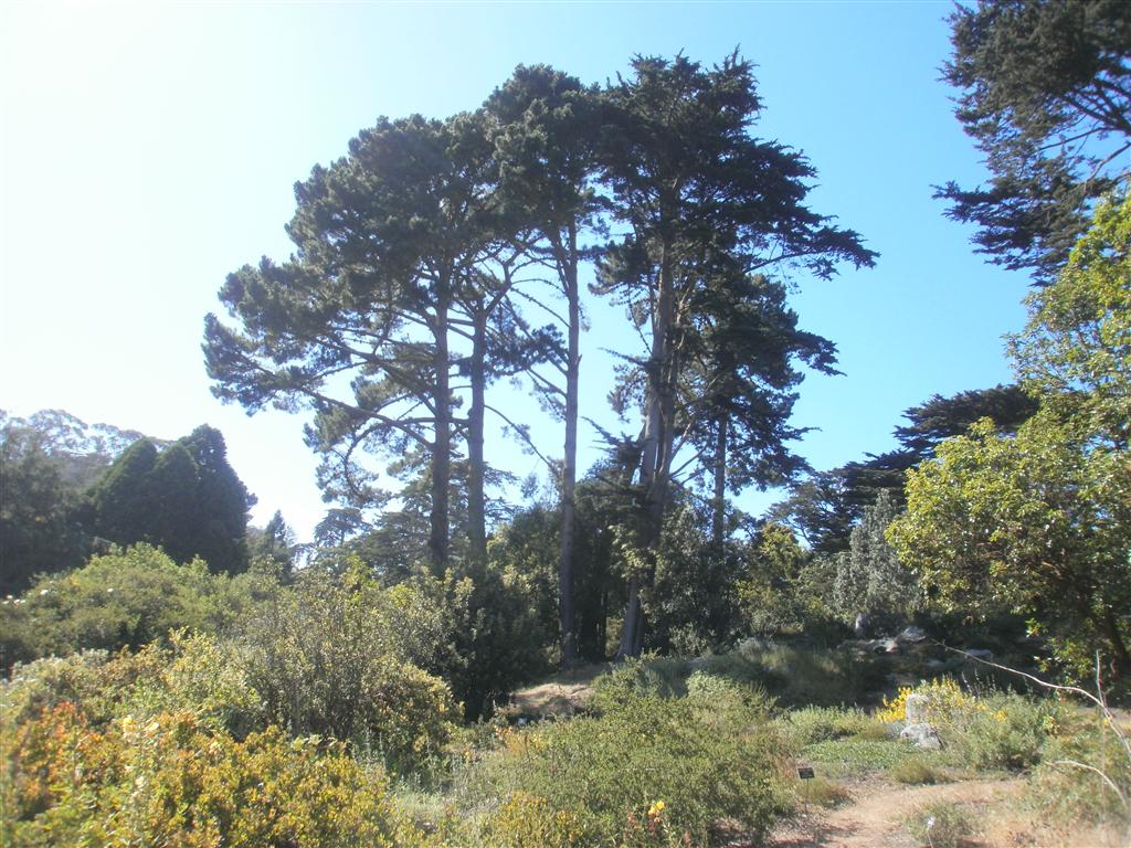 P6240043