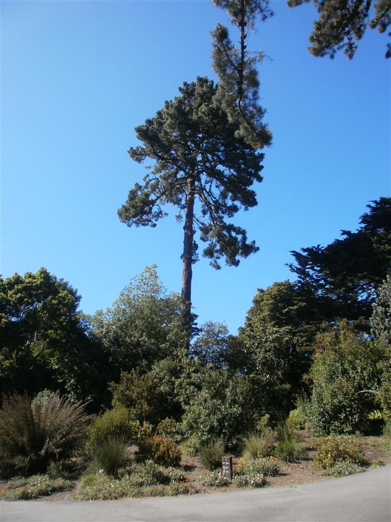 P6240044