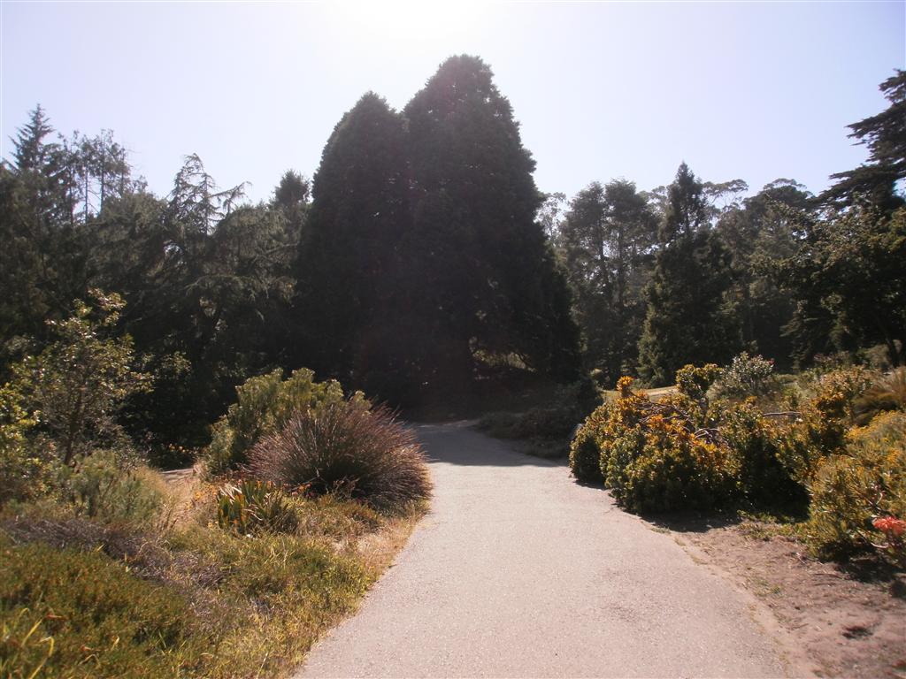 P6240046