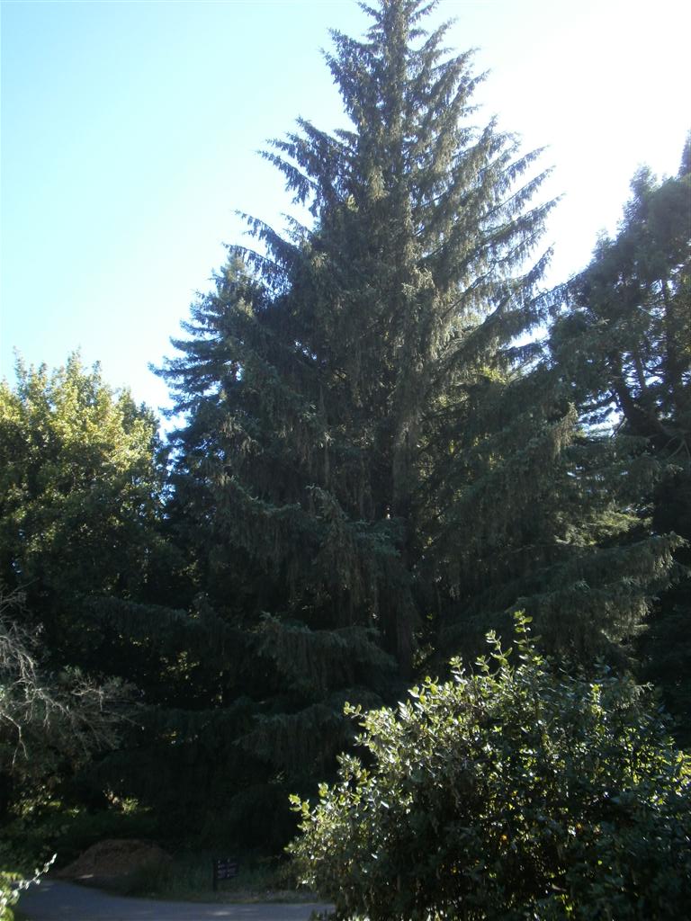 P6240048