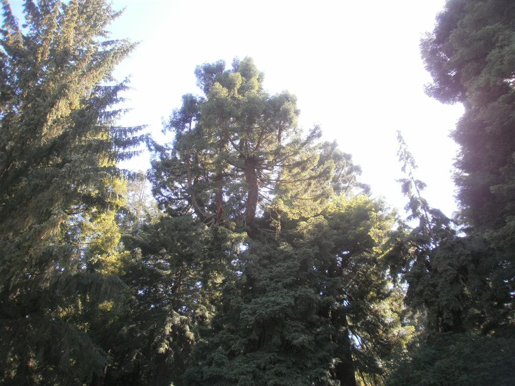 P6240050