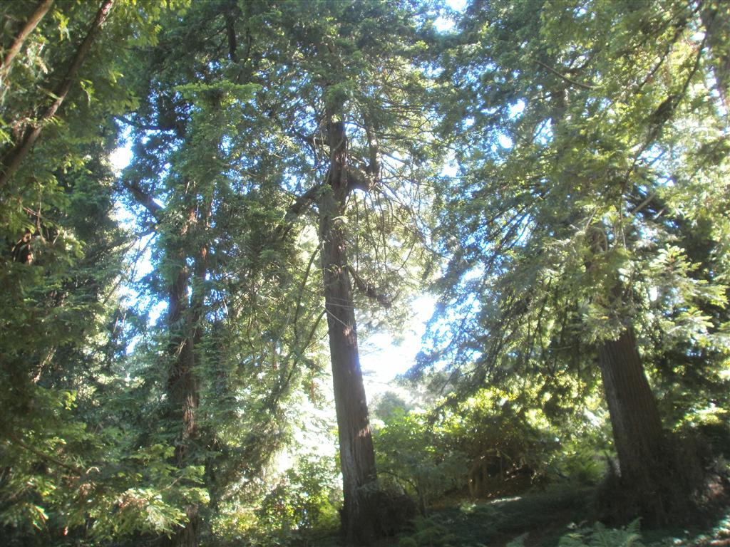 P6240054