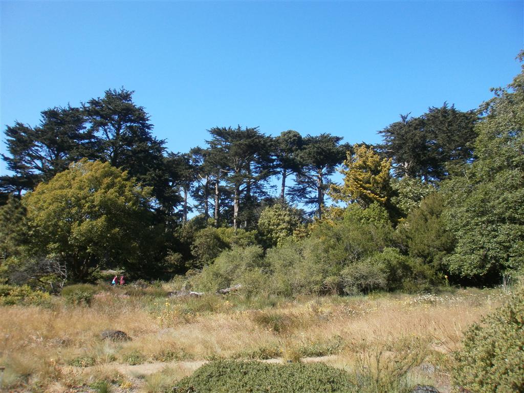 P6240059