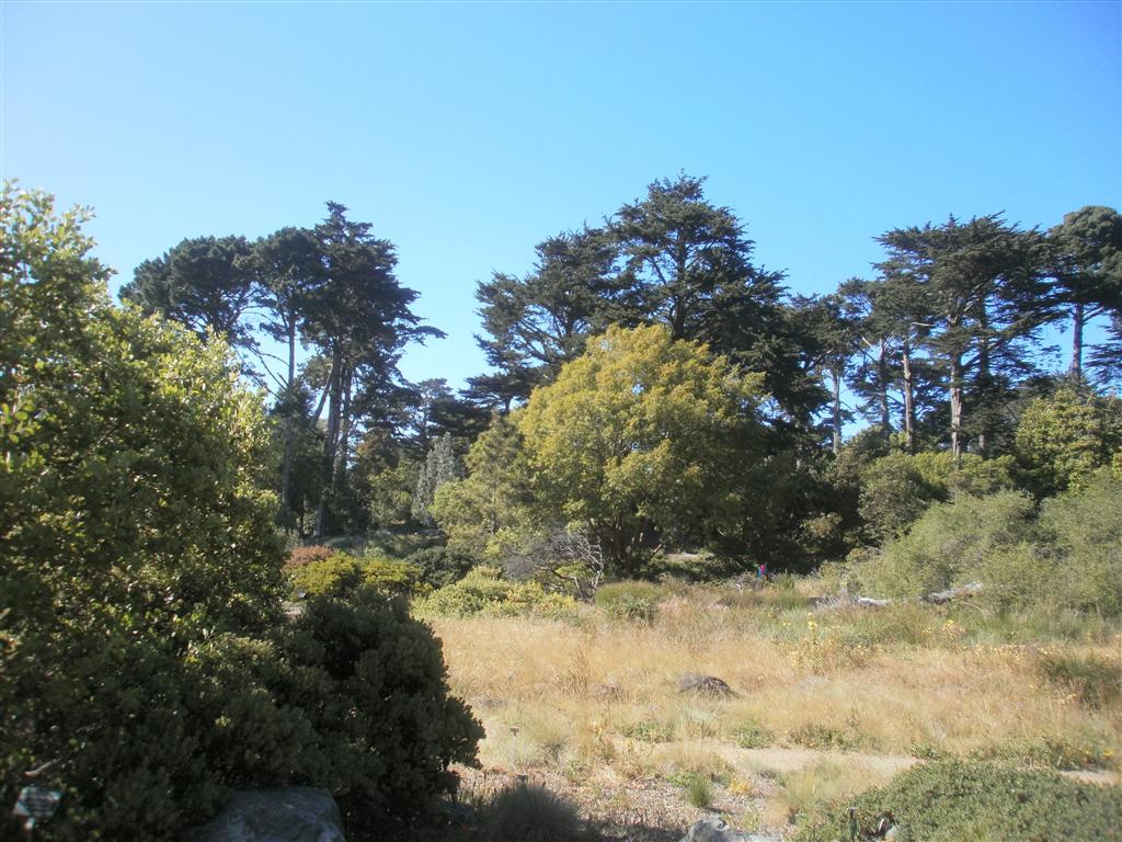 P6240061