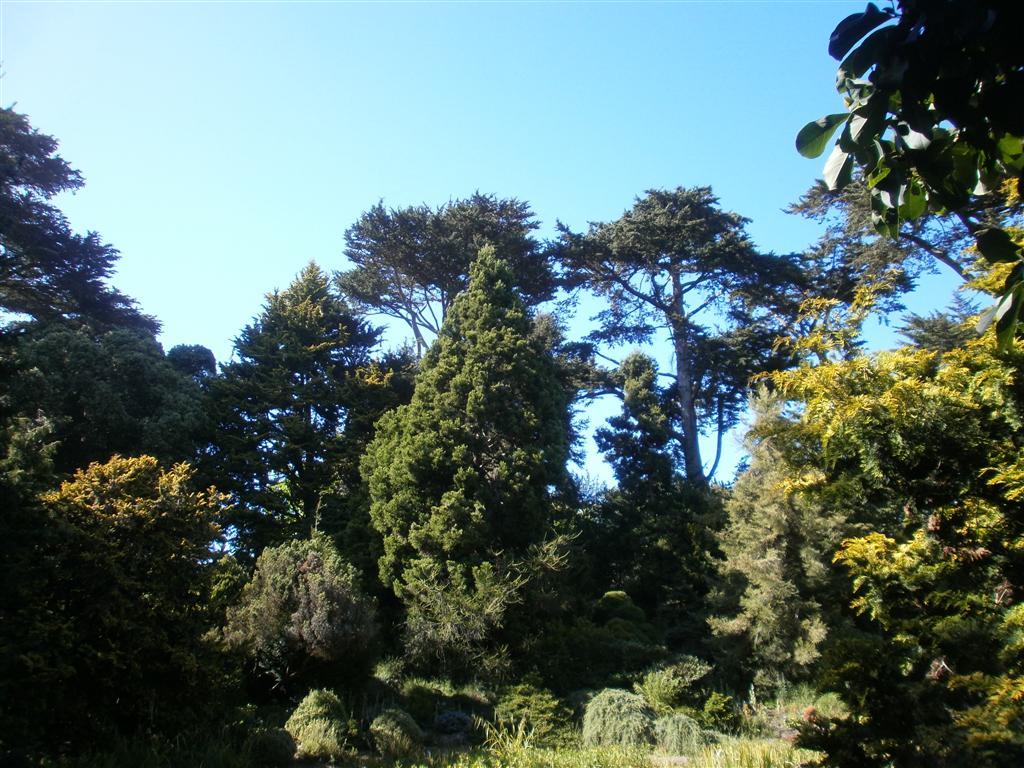 P6240063
